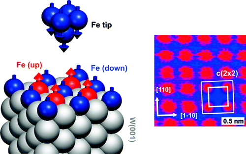 Magnetic exchange force microscopy